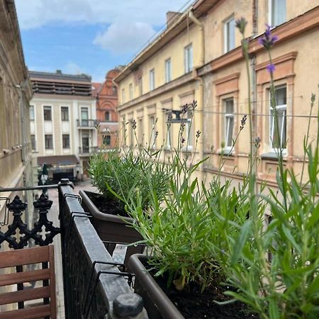 Old Town Apartment Kaunas Dış mekan fotoğraf