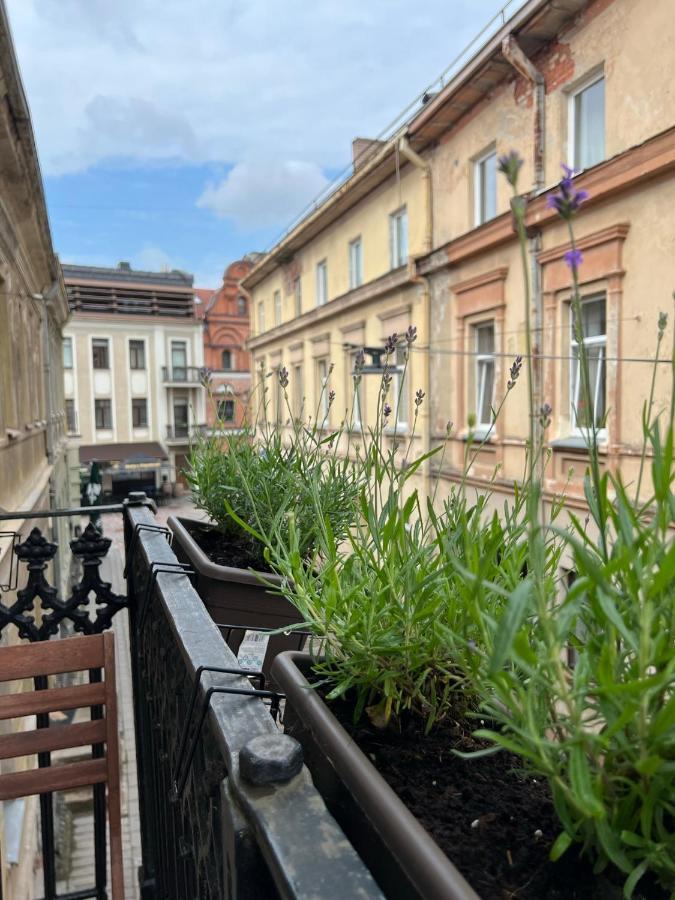 Old Town Apartment Kaunas Dış mekan fotoğraf